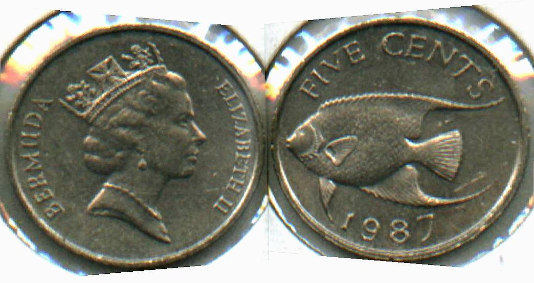 New-Theme-Thread,-It's-Coins-With-Fish-On-Them!